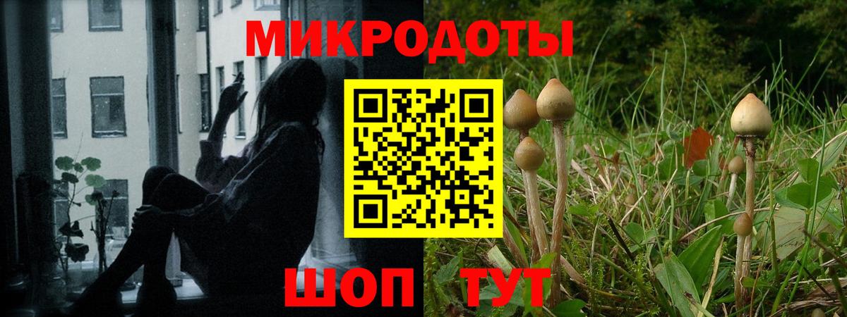 Ишимбай  Псилоцибиновые грибы ЛСД  Вход с VPN  Псилоцибиновые грибы прущие грибы 