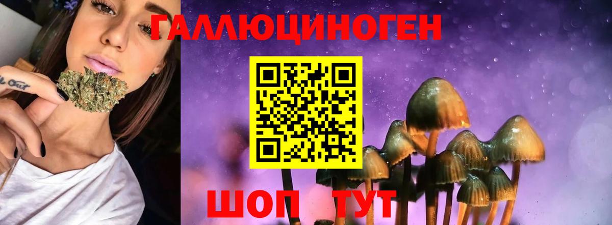 Галлюциногенные грибы прущие грибы Ишимбай